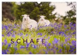 Schafe - Weich und wollig (Wandkalender 2024 DIN A3 quer), CALVENDO Monatskalender