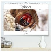 Faszination Makrofotografie: Spinnen (hochwertiger Premium Wandkalender 2024 DIN A2 quer), Kunstdruck in Hochglanz