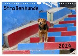 Straßenhunde 2024 (Wandkalender 2024 DIN A4 quer), CALVENDO Monatskalender