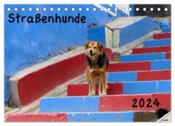 Straßenhunde 2024 (Tischkalender 2024 DIN A5 quer), CALVENDO Monatskalender