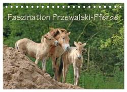 Faszination Przewalski-Pferde (Tischkalender 2024 DIN A5 quer), CALVENDO Monatskalender