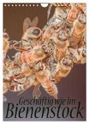 Geschäftig wie im Bienenstock (Wandkalender 2024 DIN A4 hoch), CALVENDO Monatskalender
