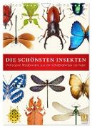 Die schönsten Insekten (Wandkalender 2024 DIN A4 hoch), CALVENDO Monatskalender