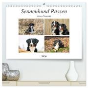 Sennenhund Rassen (hochwertiger Premium Wandkalender 2024 DIN A2 quer), Kunstdruck in Hochglanz