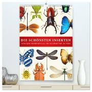 Die schönsten Insekten (hochwertiger Premium Wandkalender 2024 DIN A2 hoch), Kunstdruck in Hochglanz