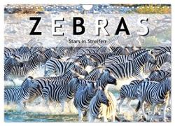 Zebras, Stars in Streifen (Wandkalender 2024 DIN A4 quer), CALVENDO Monatskalender
