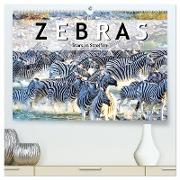 Zebras, Stars in Streifen (hochwertiger Premium Wandkalender 2024 DIN A2 quer), Kunstdruck in Hochglanz