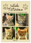 Wilde Tätzchen, kleine wilde Katzen entdecken die Welt (Wandkalender 2024 DIN A3 hoch), CALVENDO Monatskalender