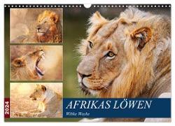 Afrikas Löwen 2024 (Wandkalender 2024 DIN A3 quer), CALVENDO Monatskalender