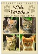 Wilde Tätzchen, kleine wilde Katzen entdecken die Welt (Tischkalender 2024 DIN A5 hoch), CALVENDO Monatskalender