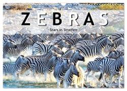 Zebras, Stars in Streifen (Wandkalender 2024 DIN A3 quer), CALVENDO Monatskalender
