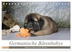 Germanische Bärenbabys (Tischkalender 2024 DIN A5 quer), CALVENDO Monatskalender
