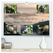 Begegnungen - Berggorillas im Bwindi Nationalpark (hochwertiger Premium Wandkalender 2024 DIN A2 quer), Kunstdruck in Hochglanz