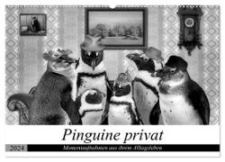 Pinguine privat (Wandkalender 2024 DIN A2 quer), CALVENDO Monatskalender