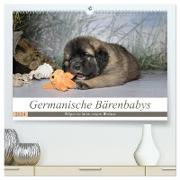 Germanische Bärenbabys (hochwertiger Premium Wandkalender 2024 DIN A2 quer), Kunstdruck in Hochglanz
