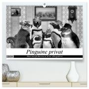 Pinguine privat (hochwertiger Premium Wandkalender 2024 DIN A2 quer), Kunstdruck in Hochglanz