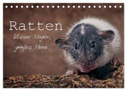 Ratten. Kleine Nager, großes Herz. (Tischkalender 2024 DIN A5 quer), CALVENDO Monatskalender