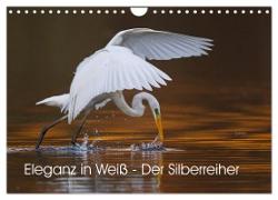 Eleganz in Weiß - Der Silberreiher (Wandkalender 2024 DIN A4 quer), CALVENDO Monatskalender