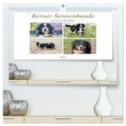 Berner Sennenhunde machen glücklich (hochwertiger Premium Wandkalender 2024 DIN A2 quer), Kunstdruck in Hochglanz