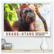 Orang-Utans Menschenaffen auf Borneo (hochwertiger Premium Wandkalender 2024 DIN A2 quer), Kunstdruck in Hochglanz