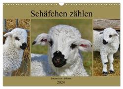 Schäfchen zählen - Lämmchen-Edition (Wandkalender 2024 DIN A3 quer), CALVENDO Monatskalender