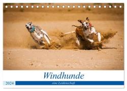 Windhunde - eine Leidenschaft (Tischkalender 2024 DIN A5 quer), CALVENDO Monatskalender