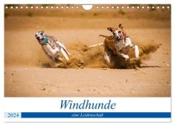 Windhunde - eine Leidenschaft (Wandkalender 2024 DIN A4 quer), CALVENDO Monatskalender