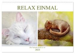 Relax einmal - Die Tierwelt macht es vor (Wandkalender 2024 DIN A2 quer), CALVENDO Monatskalender