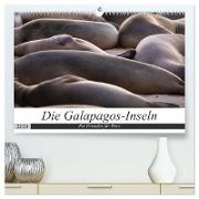 Galapagos-Inseln - Ein Paradies für Tiere (hochwertiger Premium Wandkalender 2024 DIN A2 quer), Kunstdruck in Hochglanz