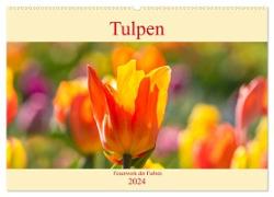 Tulpen - Feuerwerk der Farben (Wandkalender 2024 DIN A2 quer), CALVENDO Monatskalender