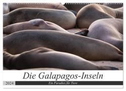Galapagos-Inseln - Ein Paradies für Tiere (Wandkalender 2024 DIN A2 quer), CALVENDO Monatskalender