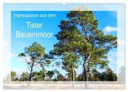 Impressionen aus dem Tister Bauernmoor (Wandkalender 2024 DIN A2 quer), CALVENDO Monatskalender