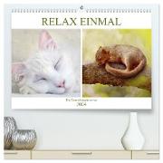 Relax einmal - Die Tierwelt macht es vor (hochwertiger Premium Wandkalender 2024 DIN A2 quer), Kunstdruck in Hochglanz