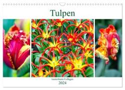 Tulpen - kunterbunte Collagen (Wandkalender 2024 DIN A3 quer), CALVENDO Monatskalender