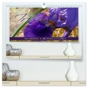 Iris - mondäne Gartenschönheit (hochwertiger Premium Wandkalender 2024 DIN A2 quer), Kunstdruck in Hochglanz