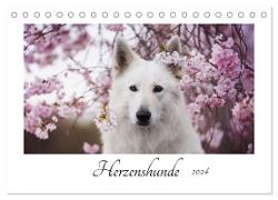 Herzenshunde 2024 (Tischkalender 2024 DIN A5 quer), CALVENDO Monatskalender