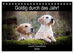 Goldig durch das Jahr! (Tischkalender 2024 DIN A5 quer), CALVENDO Monatskalender