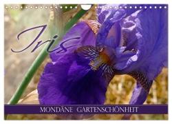 Iris - mondäne Gartenschönheit (Wandkalender 2024 DIN A4 quer), CALVENDO Monatskalender