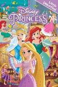 Disney Princess: Little Look and Find