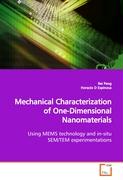 Mechanical Characterization of One-Dimensional Nanomaterials
