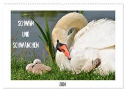 SCHWAN UND SCHWÄNCHEN (Wandkalender 2024 DIN A2 quer), CALVENDO Monatskalender