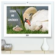 SCHWAN UND SCHWÄNCHEN (hochwertiger Premium Wandkalender 2024 DIN A2 quer), Kunstdruck in Hochglanz