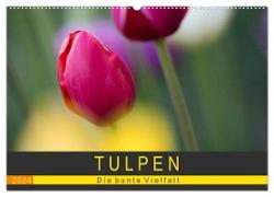 Tulpen - die bunte Vielfalt (Wandkalender 2024 DIN A2 quer), CALVENDO Monatskalender