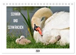 SCHWAN UND SCHWÄNCHEN (Tischkalender 2024 DIN A5 quer), CALVENDO Monatskalender
