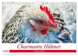 Charmante Hühner (Wandkalender 2024 DIN A4 quer), CALVENDO Monatskalender