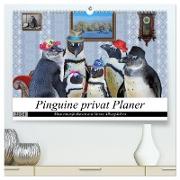 Pinguine privat Planer (hochwertiger Premium Wandkalender 2024 DIN A2 quer), Kunstdruck in Hochglanz