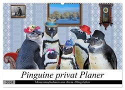 Pinguine privat Planer (Wandkalender 2024 DIN A2 quer), CALVENDO Monatskalender