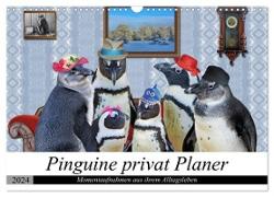 Pinguine privat Planer (Wandkalender 2024 DIN A3 quer), CALVENDO Monatskalender