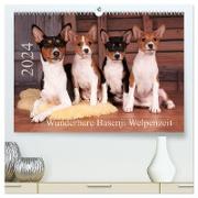 Wunderbare Basenji Welpenzeit (hochwertiger Premium Wandkalender 2024 DIN A2 quer), Kunstdruck in Hochglanz