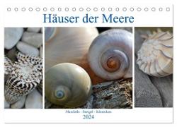 Häuser der Meere: Muscheln - Seeigel - Schnecken (Tischkalender 2024 DIN A5 quer), CALVENDO Monatskalender